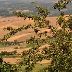 Casa Amedeo * Chianni