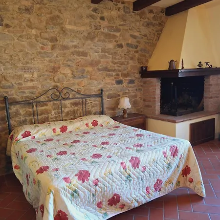 Apartment Casa Amedeo Chianni